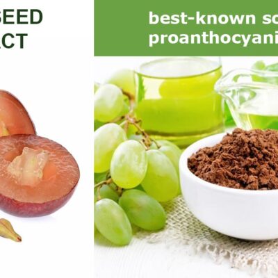 grapeseed extract