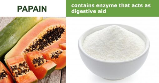 papain papaya powder transchem